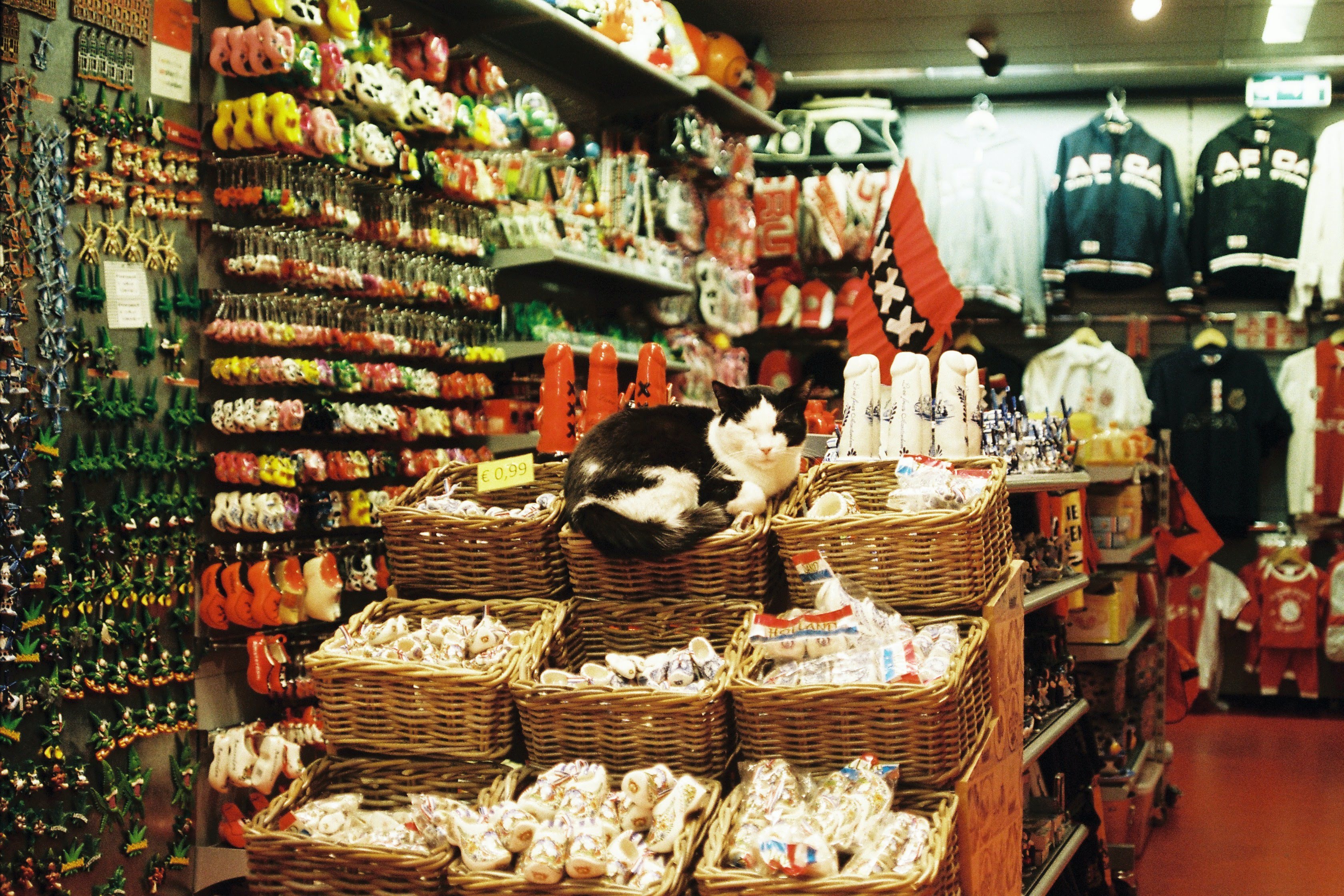 如何在海外開(kāi)設(shè)一家成功的寵物用品店？